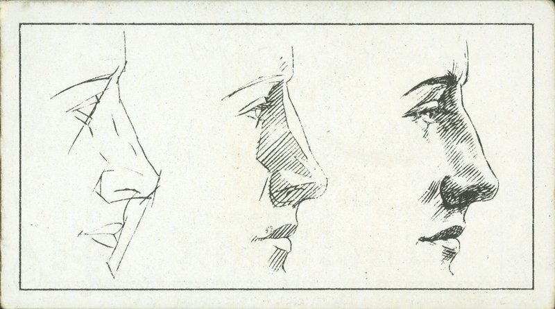 Comment dessiner : Le nez (litho) - English School