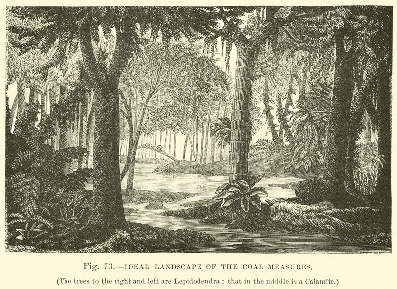 Paysage idéal des couches de charbon - English School