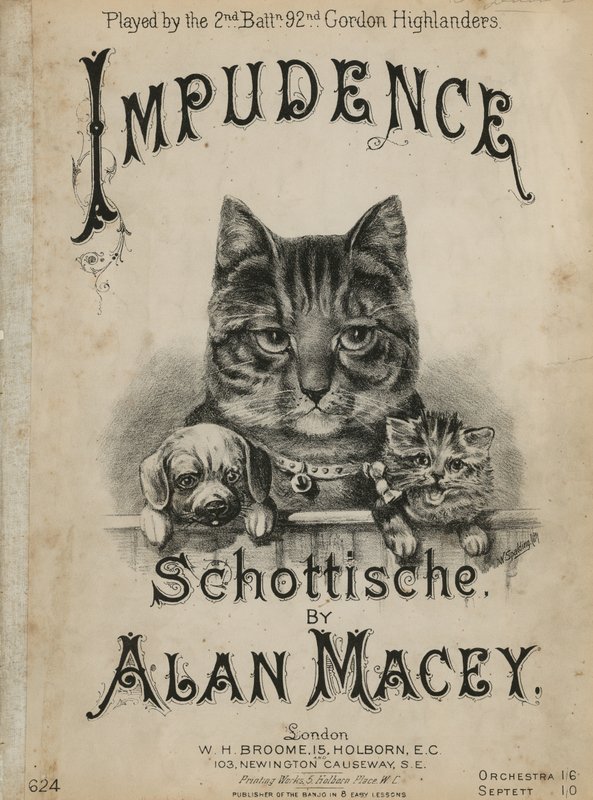 Impudence - English School