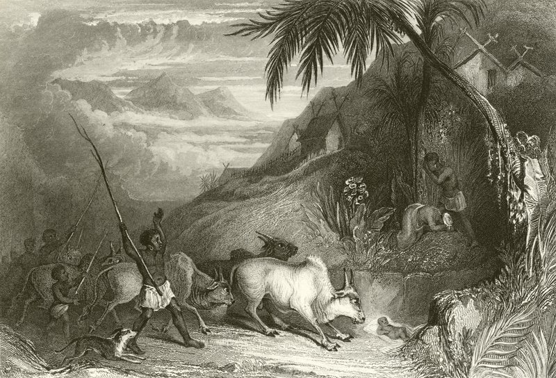 Infanticide à Madagascar - English School