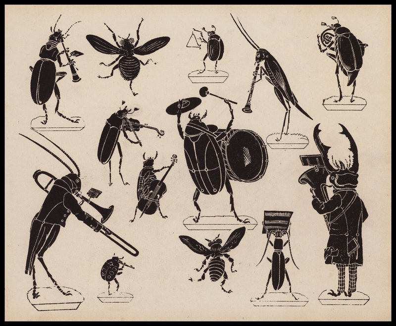 Insectes jouant des instruments de musique - English School