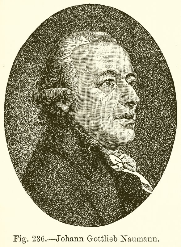 Johann Gottlieb Naumann - English School