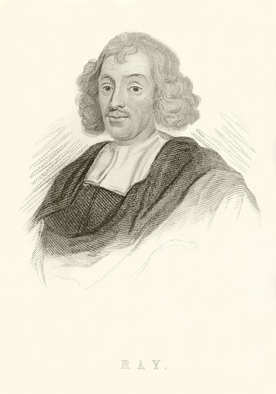 John Ray - English School