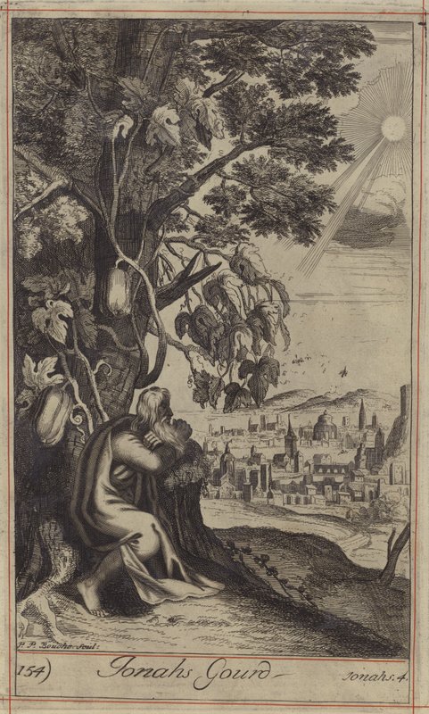 La Courge de Jonas (gravure) - English School