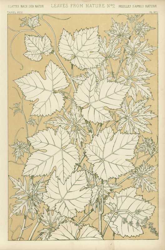 Feuilles de la nature - English School