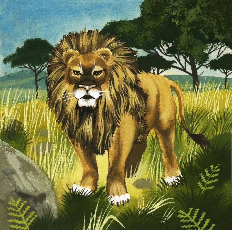 Lion - English School