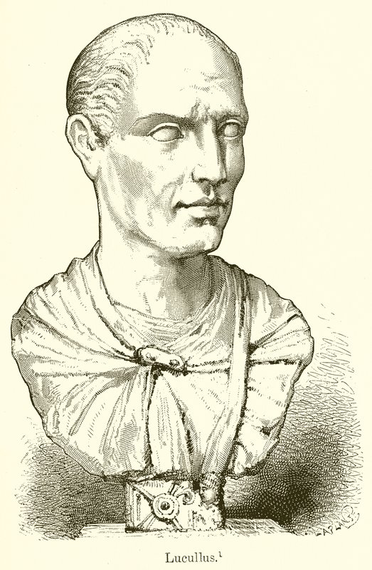 Lucullus - English School