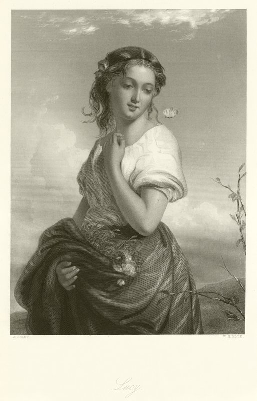 Lucie - English School