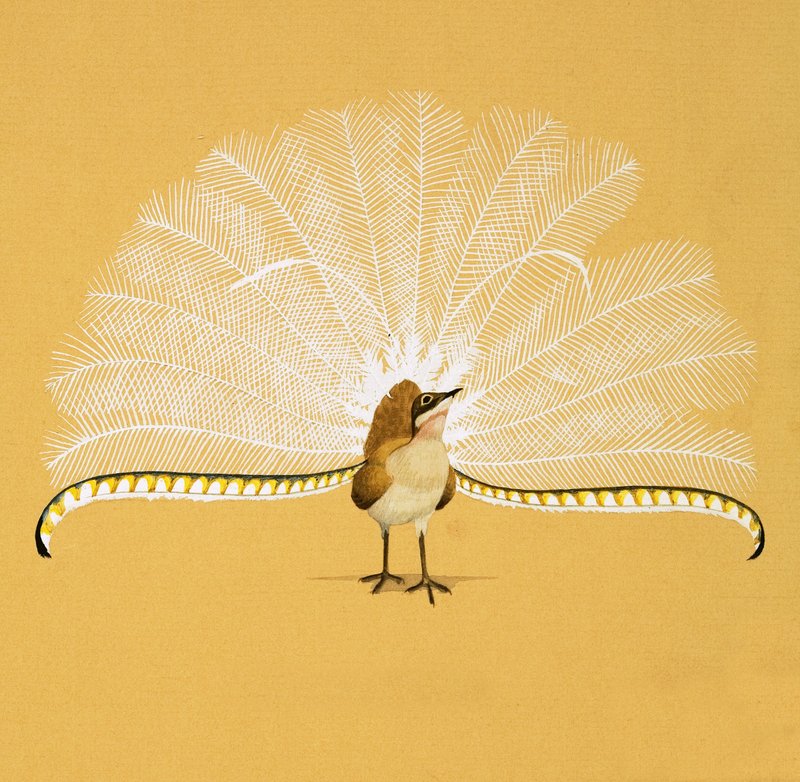 Oiseau-lyre - English School