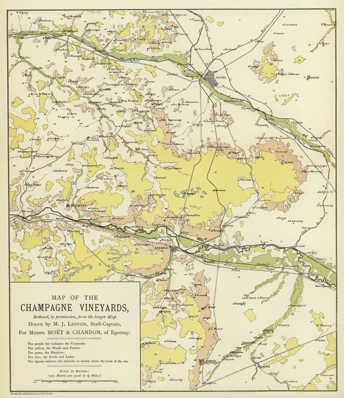 Carte des Vignobles de Champagne - English School