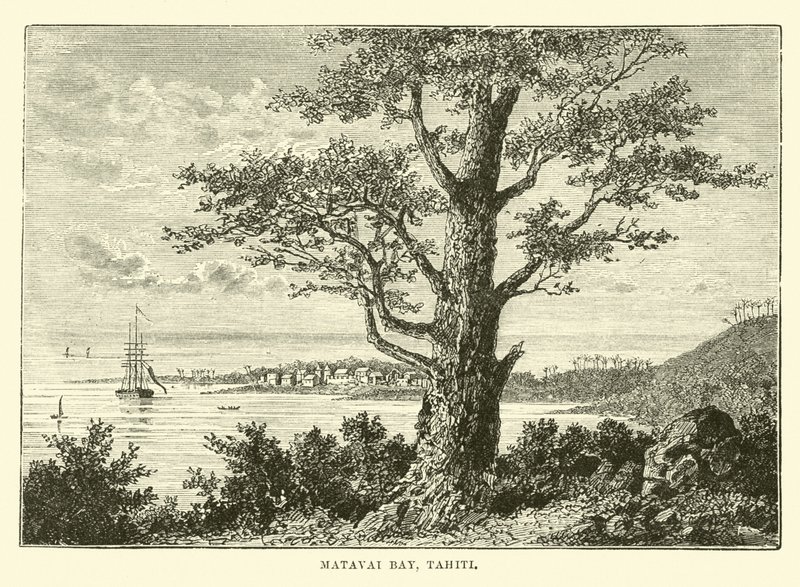 Baie de Matavai, Tahiti - English School
