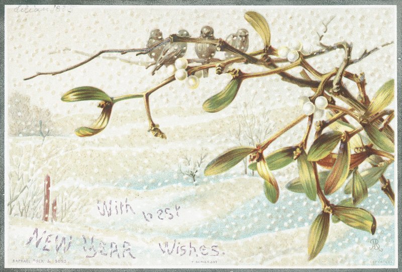 Gui dans la neige, carte de Nouvel An - English School