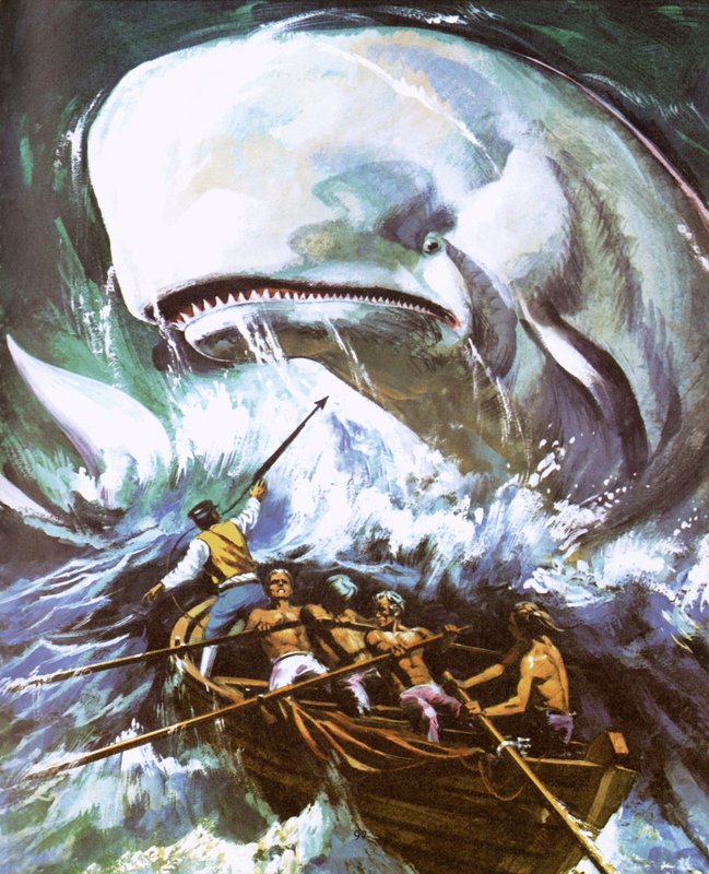 Moby Dick - English School