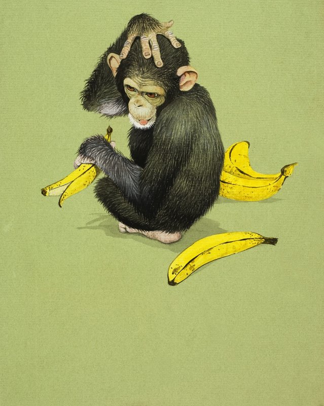 Singe avec des bananes - English School