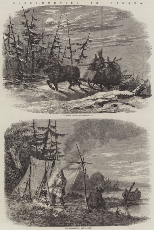 Chasse à l