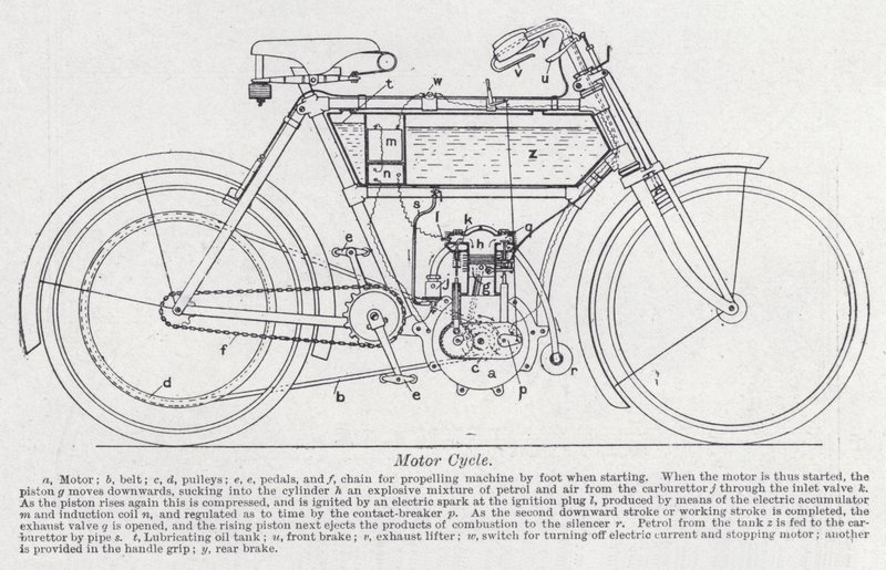 Moto - English School