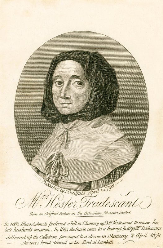 Mme Hester Tradescant - English School