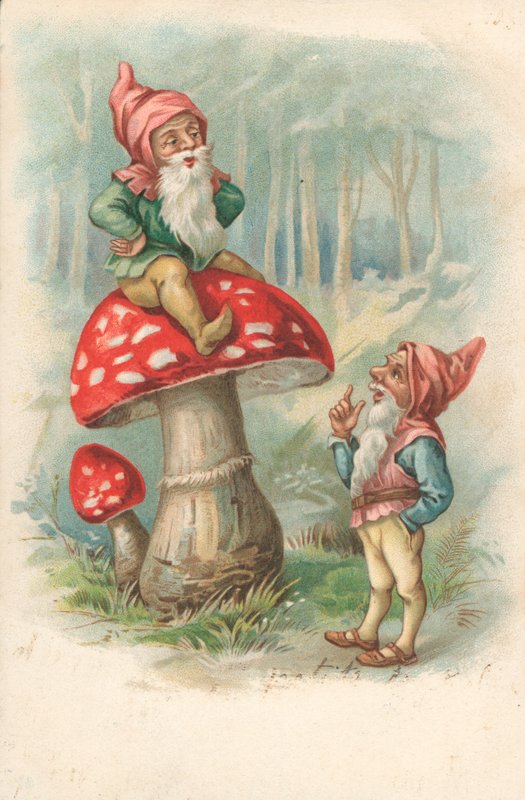 Champignon avec des gnomes - English School