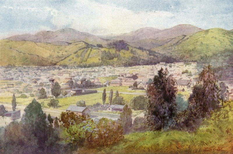 Nouvelle-Zélande : Nelson (lithographie couleur) - English School