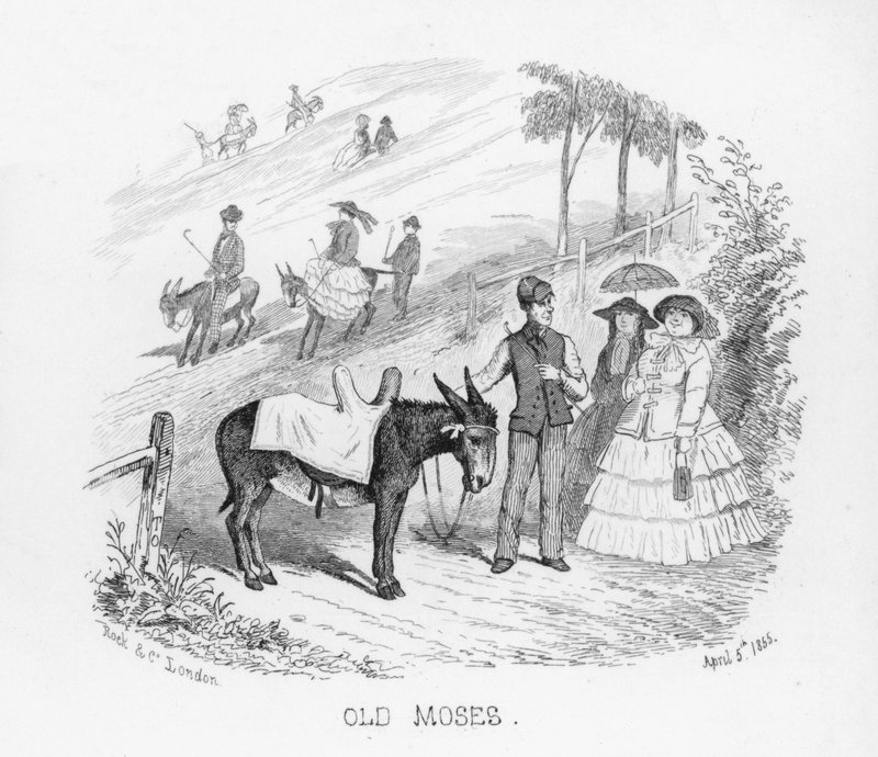 Vieux Moïse - English School