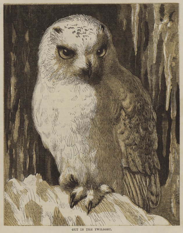 Dans le crépuscule (gravure) - English School