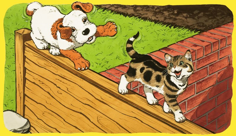 Paddy Paws - English School