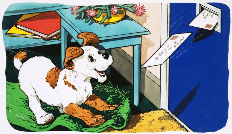 Paddy Paws - English School