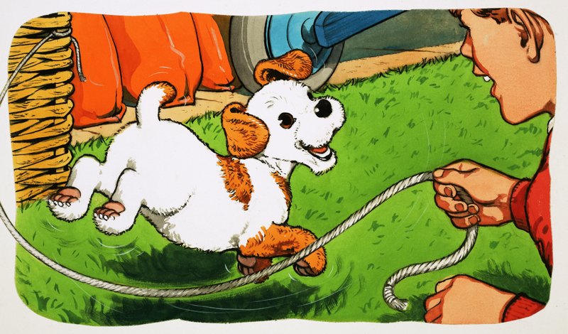 Paddy Paws - English School