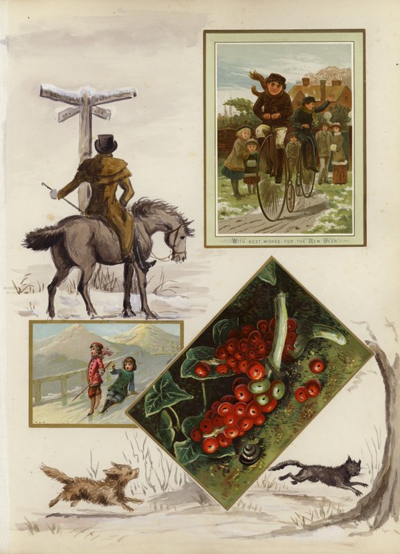 Page d