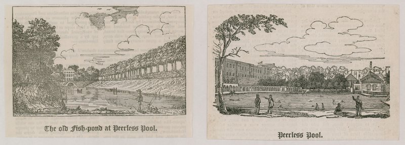 Peerless Pool - English School