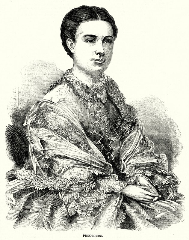 Piccolomini - English School