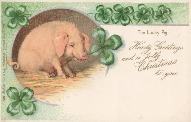 Cochon dans le trèfle - English School