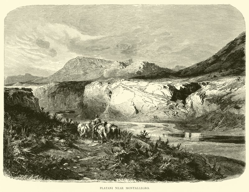 Platani près de Montallegro - English School