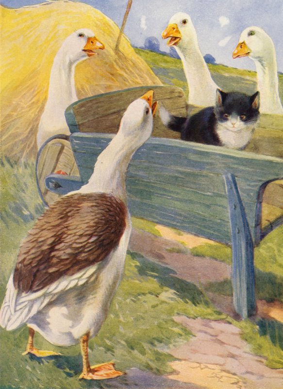 Pauvre petit chat ! - English School