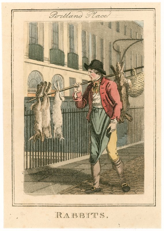 Portland Place. Lapins - English School