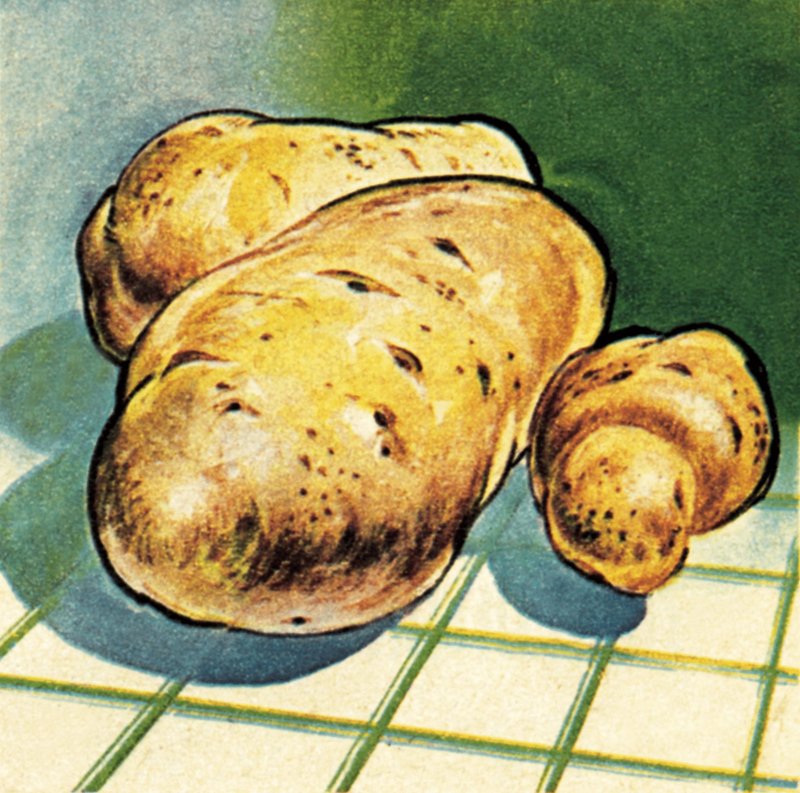 Pommes de terre - English School