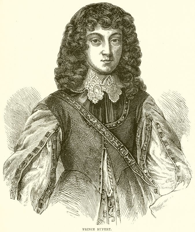 Prince Rupert - English School