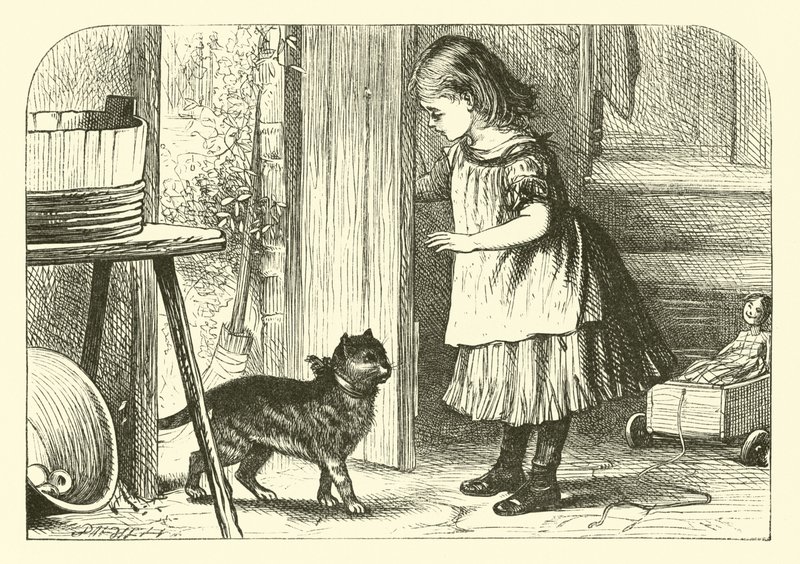 Chat, chat - English School
