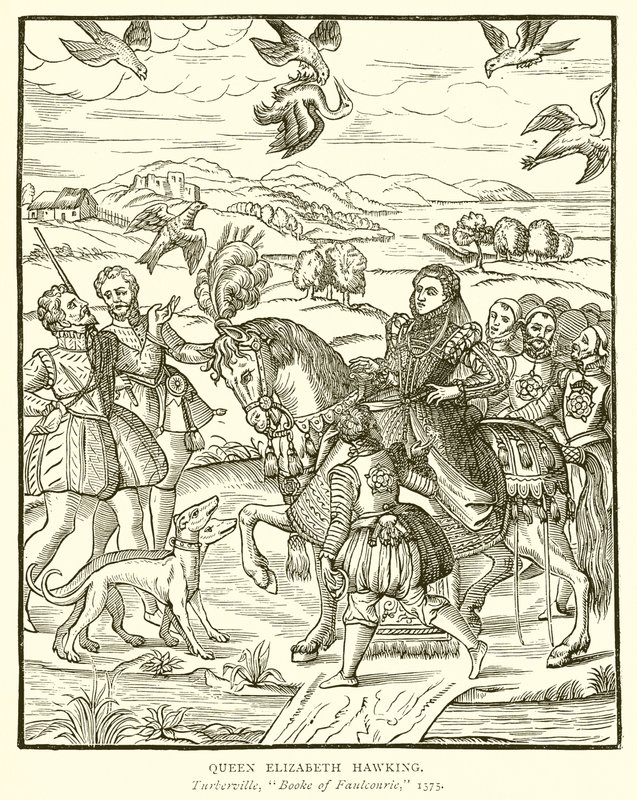 La reine Élisabeth chassant au faucon - English School
