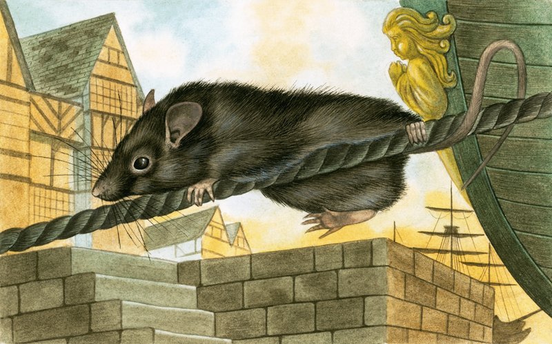 Rat quittant un navire - English School