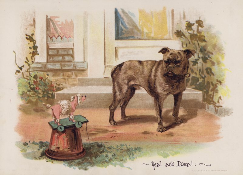 Réel et idéal - English School