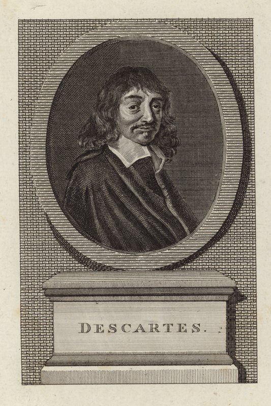 René Descartes - English School
