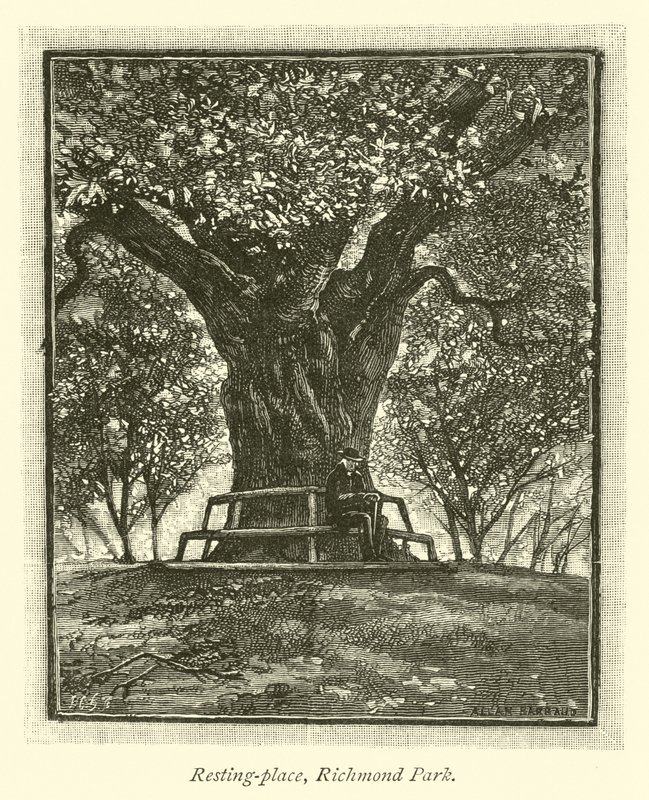 Lieu de repos, parc de Richmond - English School