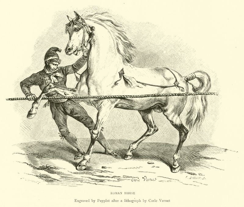 Cheval romain - English School