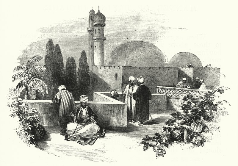 Terrasse sur le Toit - English School