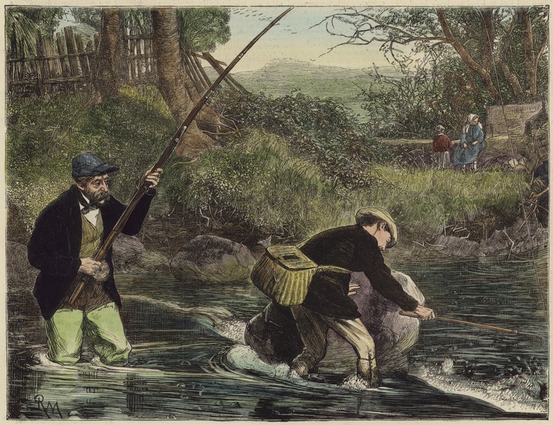 Pêche au saumon - English School