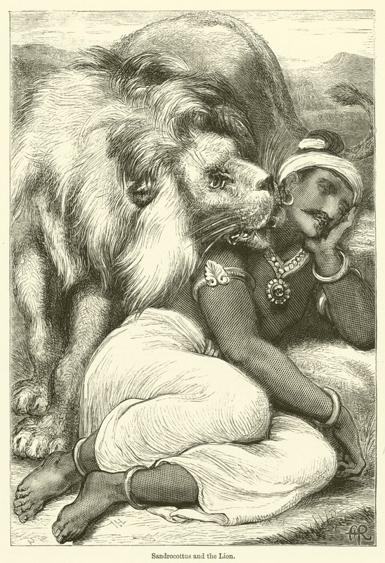 Sandrocottus et le lion - English School