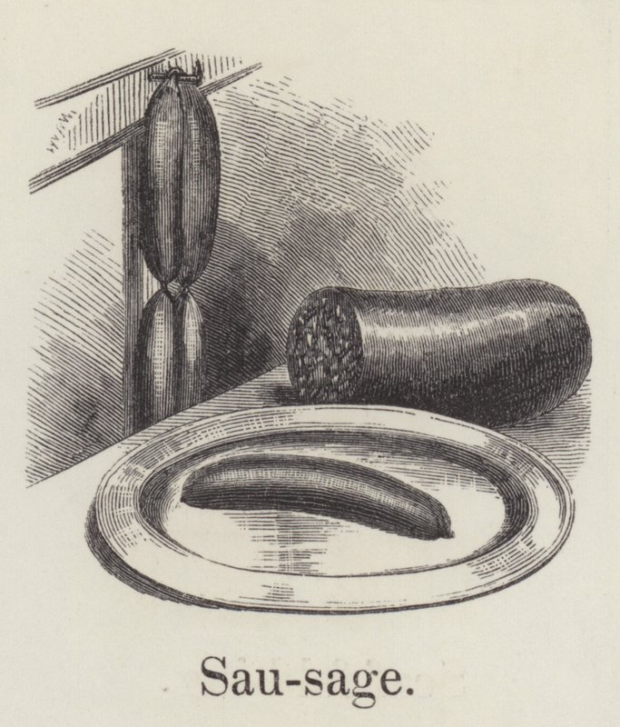 Saucisse (gravure) - English School