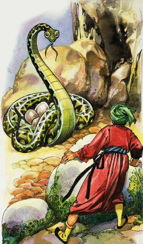 Serpent protégeant ses œufs - English School