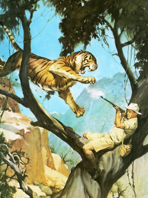 Chasser un tigre - English School